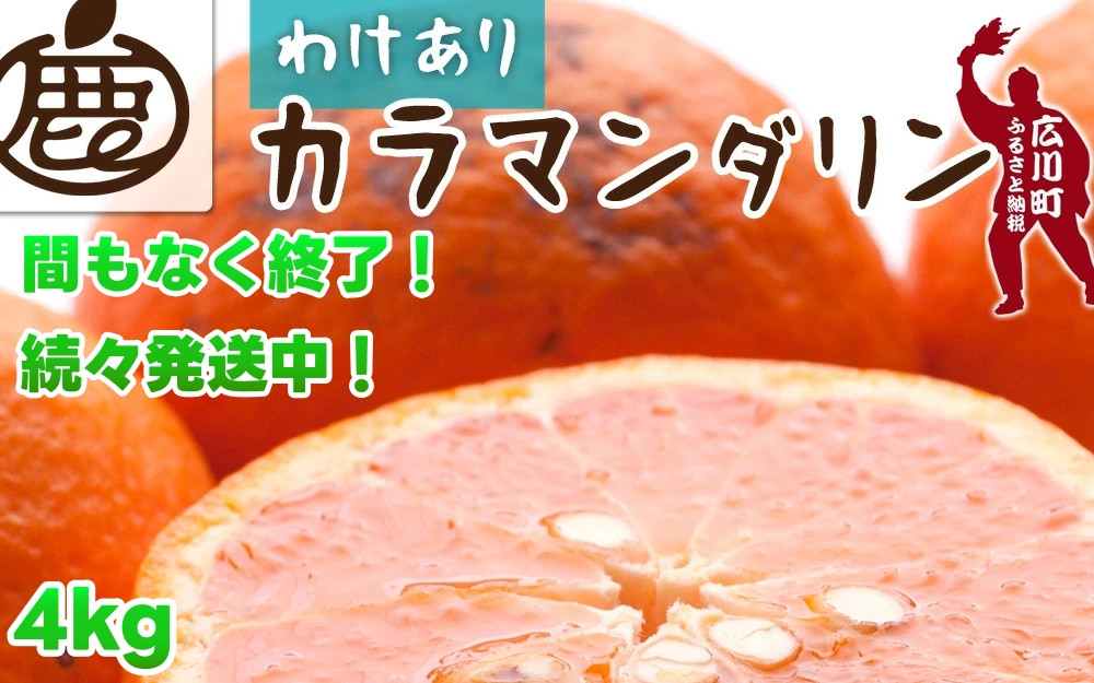 
            カラマンダリン 4kg+120g（痛み補償分） 家庭用 / カラ カラオレンジ カラみかん 南津海 なつみ 訳あり 和歌山 有田 柑橘 晩柑 ※4月上旬〜7月中旬に順次発送 ※北海道・沖縄・離島への配送不可 【ikd015-c-4A】
          