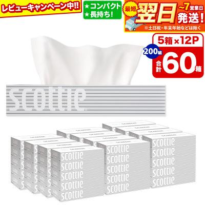 ふるさと納税 秋田市 ティッシュ スコッティ ティシュー 5箱×12パック|15_nsc-051201