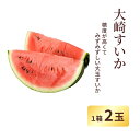 【ふるさと納税】【能登半島地震復興支援】大崎すいか1箱（大2玉入り）＜2025年収穫分　先行予約＞