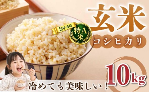 玄米10kg（5kg×2袋）特A米 冷めても美味しいコシヒカリ【小田農園】　　｜最短4～7日程度でお届け　※着日指定不可
