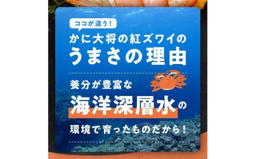 採れたて！釜茹で！ 紅ズワイガニ 2杯