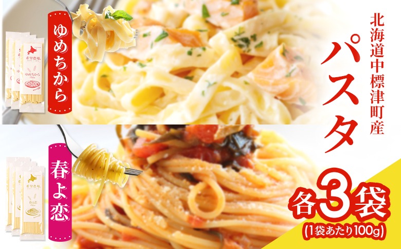 北海道中標津町産「春よ恋」パスタ・「ゆめちから」パスタ 各3袋（合計6袋）【82006】