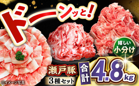 瀬戸豚 豚肉3種セット 計4.8kg / 肉 豚肉 豚バラ しゃぶしゃぶ 冷凍 小分け / 瀬戸市 / 関屋精肉店[BBBQ224]