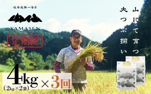 新米予約受付 令和7年産米【定期便】山仙（いのちの壱）【2kg×2袋（4kg）×3回】 すがたらいす 下呂市金山産 2025年産 毎月 4キロ×3カ月 お米 精米 下呂温泉 下呂市 米 ブランド米
