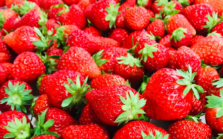 冷凍いちご 1kg / 苺 いちご イチゴ 冷凍 冷凍イチゴ 冷凍苺 / 恵那市 クリエイティブファーマーズ[AUAH023]