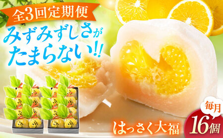 【3回定期便】お菓子 はっさく大福8個入×2　 お菓子 大福 八朔 柑橘 みかん オレンジ 餅 ギフト お取り寄せ スイーツ フルーツ大福 ご当地 菓子 おかし デザート 食品 人気 おすすめ 広島県福山市/株式会社虎屋本舗[BADH026]