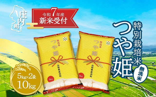 【新米受付 10月発送】R7年産 つや姫無洗米 10kg（入金期限：2025.9.15）