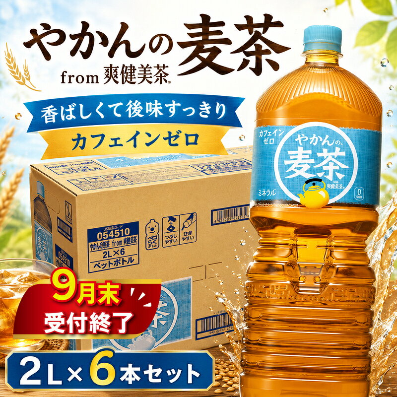 【ふるさと納税】 やかんの麦茶 PET 2L × 6本 セット 【9月末掲載終了】 お茶 麦茶 むぎ茶 2リットル ペットボトル ぺっとぼとる ぺっと お茶 おちゃ 御茶 茶葉 飲料 ドリンク 飲み物 防災グッズ 日用品 日常使い 生活用品 防災 備蓄 コカコーラ 関東 神奈川 海老名