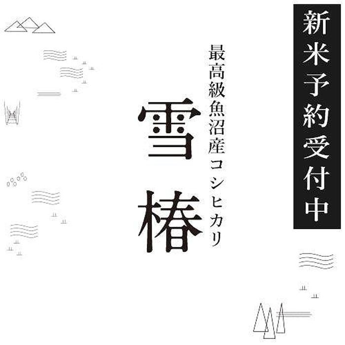 【ふるさと納税】 米 30kg ( 5kg × 6袋 ) 令和7年産 最高級 魚沼産 コシヒカリ 雪椿 特別栽培米 一括発送 | こしひかり お米 おこめ こめ コメ 白米 精米 新潟県 津南町