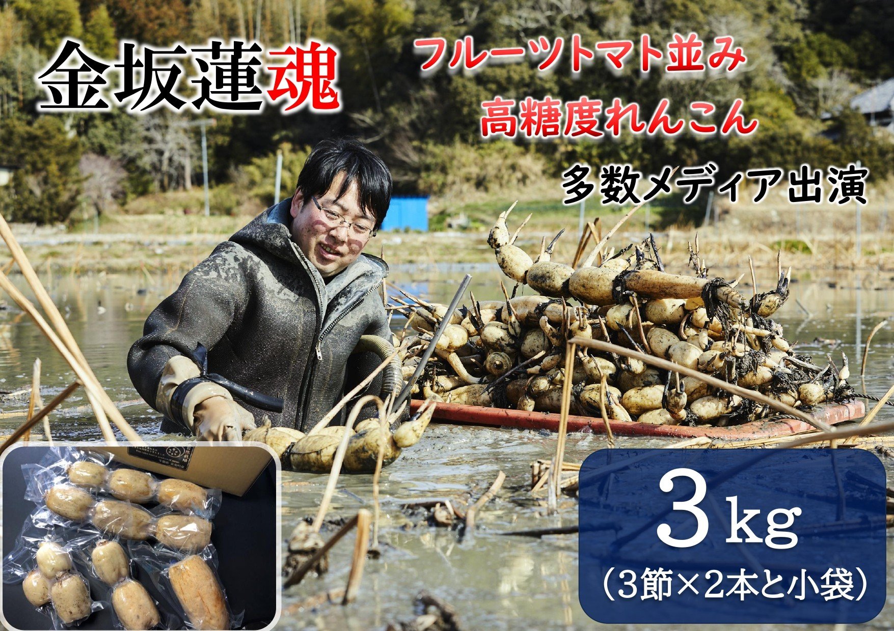 
                  【10月上旬～順次発送】千葉県産 れんこん真空パック(3kg)自然栽培【金坂蓮魂】 CNX003
                