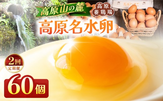 【定期便2回】高原名水 卵 60個｜豊かな自然で育ったアスタキサンチン含有の高原名水卵【感動の甘さと濃さ】栃木県 矢板市