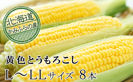 朝採り とうもろこし L～LL 8本セット 産地直送 コーン 北海道 上富良野町 