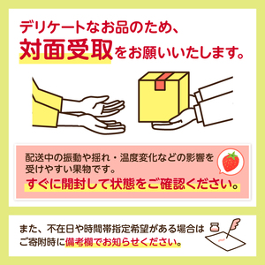 【数量限定】JAなすの産いちご 産地直送 とちあいか 1箱（290g×2パック）【栃木県共通返礼品】 ns084-002 いちご ﾌﾙｰﾂ 果物 品種 ｵﾘｼﾞﾅﾙ 甘さ ﾃﾞｻﾞｰﾄ ﾋﾞﾀﾐﾝC 