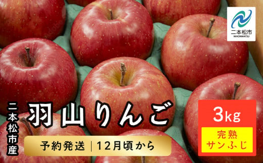 《2024年12月上旬以降発送》羽山りんご 完熟サンふじ 3kg 人気 ランキング おすすめ ギフト ふるさと 納税 福島 ふくしま 二本松市 送料無料【羽山果樹組合】