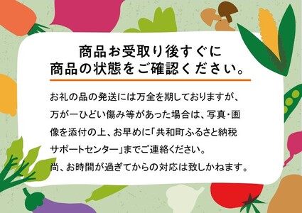 2025年 8月 出荷 先行予約 メロン 北海道 共和町産 らいでんメロン 赤肉 2玉 セット フルーツ 果物 産地直送 JAきょうわ 果実 赤肉メロン 
