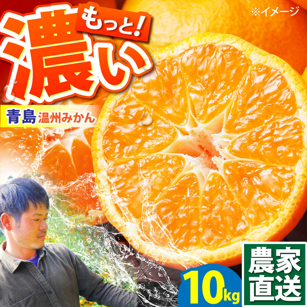 【ふるさと納税】【2027年1月～発送】青島 温州みかん 10kg / みかん ミカン 蜜柑 フルーツ 甘い 果物 みかん / 南島原市 / 蜜柑屋まつお[SCQ003]