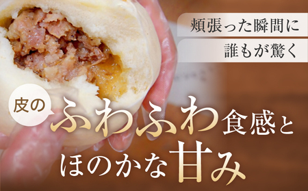 鹿港 手作り 台湾肉包 肉まん 10個入り / ルーガン 台湾グルメ 冷凍 豚まん 中華まん_0027-002-se5