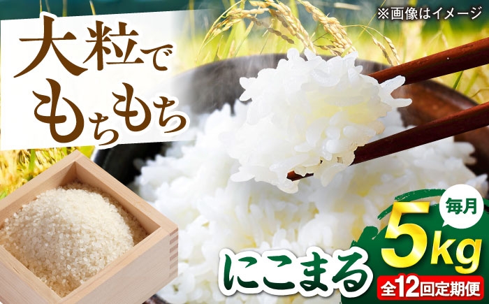 
                  【全12回定期便】 にこまる 玄米品質1等米 白米 5kg 糸島市産 糸島市 / 糸島の恵み コメ こめ ご飯 [AGR010]
                
