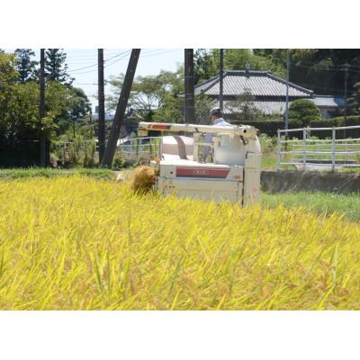 ふるさと納税 いすみ市 【毎月定期便】千葉県いすみ市産コシヒカリ10kg(5kg×2袋)全3回 |  | 02