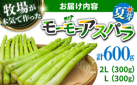 【先行予約】モーモーアスパラ夏芽 2L・L  600g（6月中旬より順次発送） 迷ったらこれ！ちょうどいい太さ2種セット 600g 日田市 / 有限会社本川牧場[ARAI036]