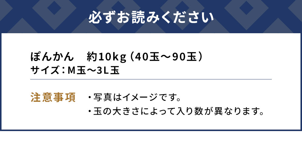 ぽんかん 10kg | ポンカン みかん 果物 大分県 九州 津久見市 国産