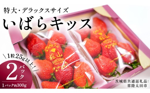 《 2027年 収穫分 》 朝摘み いばらキッス 特大・デラックスサイズ 約300g×2パック (茨城県共通返礼品 常陸太田市) 先行予約 檜山いちご園 国産 朝採り 朝採れ 大粒 いちご イチゴ 苺