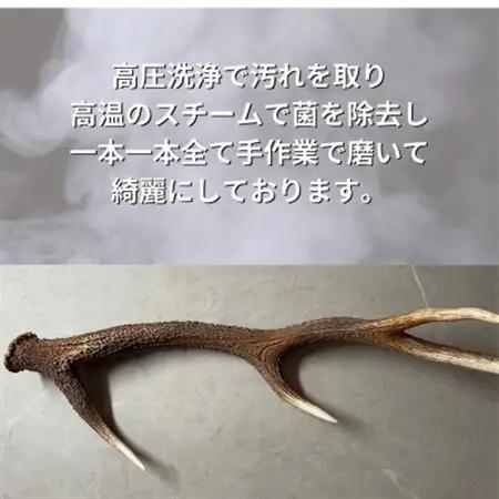 鹿の角 半割り 25cm 2本 犬のおもちゃ デンタルケア 大型犬用_ ペット用品  _【1420490】
