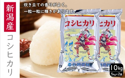 
                  新潟産コシヒカリ10kg コシヒカリ 10kg 米 お米 こめ コメ おこめ 新潟 
                