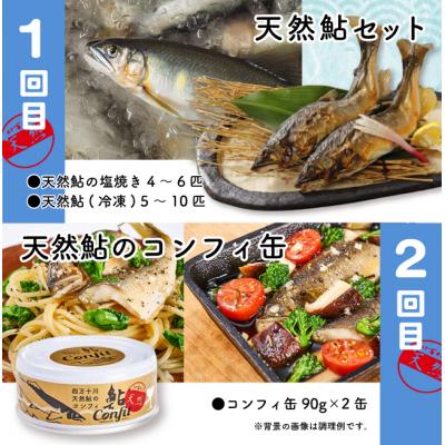 ふるさと納税 四万十市 【4回定期便】鮎づくし!清流四万十川で育った天然鮎の定期便 R6 |  | 01