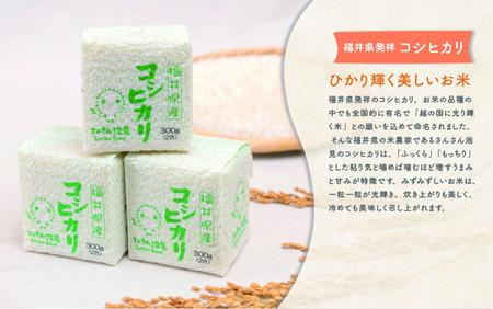 【食べ比べセット】米粉のクッキー缶とこしひかり２合入 × 2個 [A-0234]