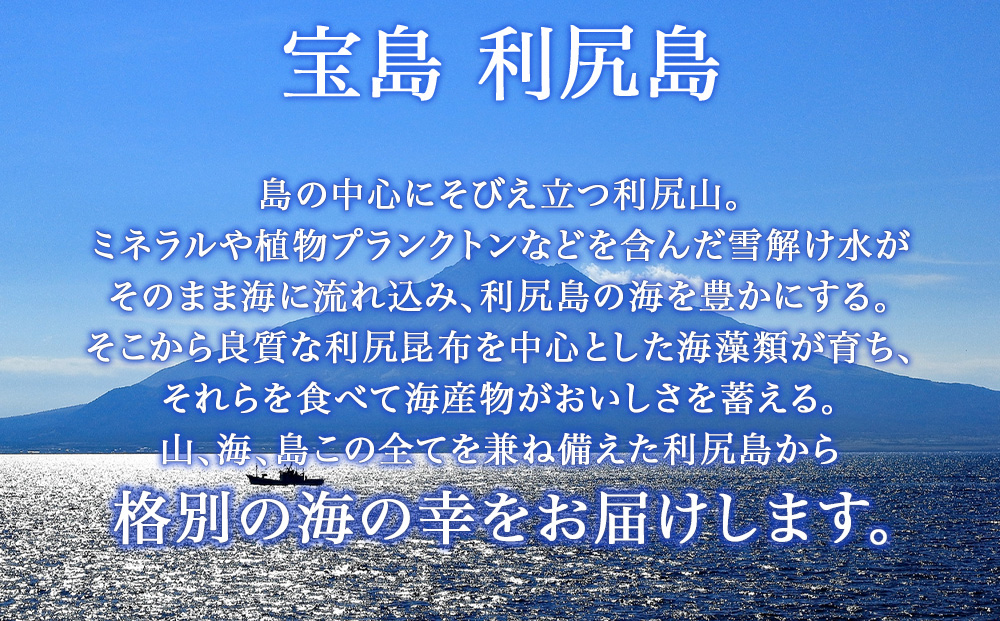 〈利尻漁業協同組合〉利尻島産 開きほっけ 5枚