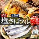 【ふるさと納税】 塩 サバ フィレ 【定期便・内容量が選べる】 約700g～9kg ( ふるさと 納税 訳あり ふるさと納税 さば ふるさと納税 鯖 塩サバ 冷凍サバ 規格外 不揃い 魚 切り身 おかず 惣菜 大容量 人気 おすすめ 愛知県 南知多町