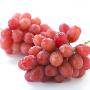 【産地厳選!】長野県産・クイーンルージュ（約2kg）秀品＜2026年10月中旬より発送＞