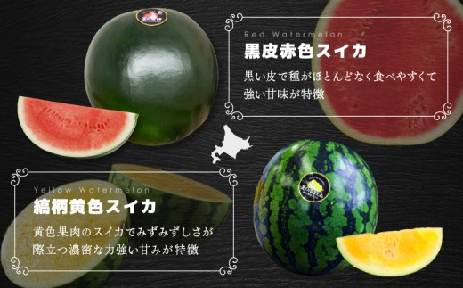《2026年分受付中》秋に収穫される赤色スイカor黄色スイカ2～4玉(約9kg)