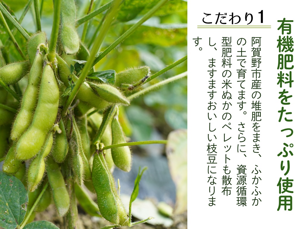 阿賀野市産えだまめ 「えんだま」 2kg 2P03014