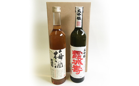 霞城寿 大吟醸・梅酒 500ml×2本セット[種友酒店] FY24-025