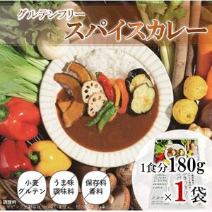 スパイスカレー　レトルト　180g×1袋【1534742】