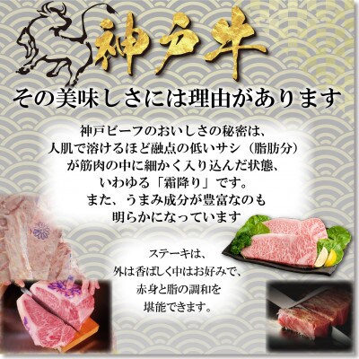 神戸牛 ロースステーキ 250g×2枚 計500g YBST5 【2026年4月より順次発送】【配送不可地域：離島】【1681995】