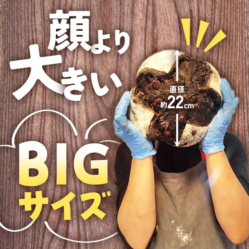 自家製天然酵母を使ったまっ黒チョコのカンパーニュ | パンパンパンパン