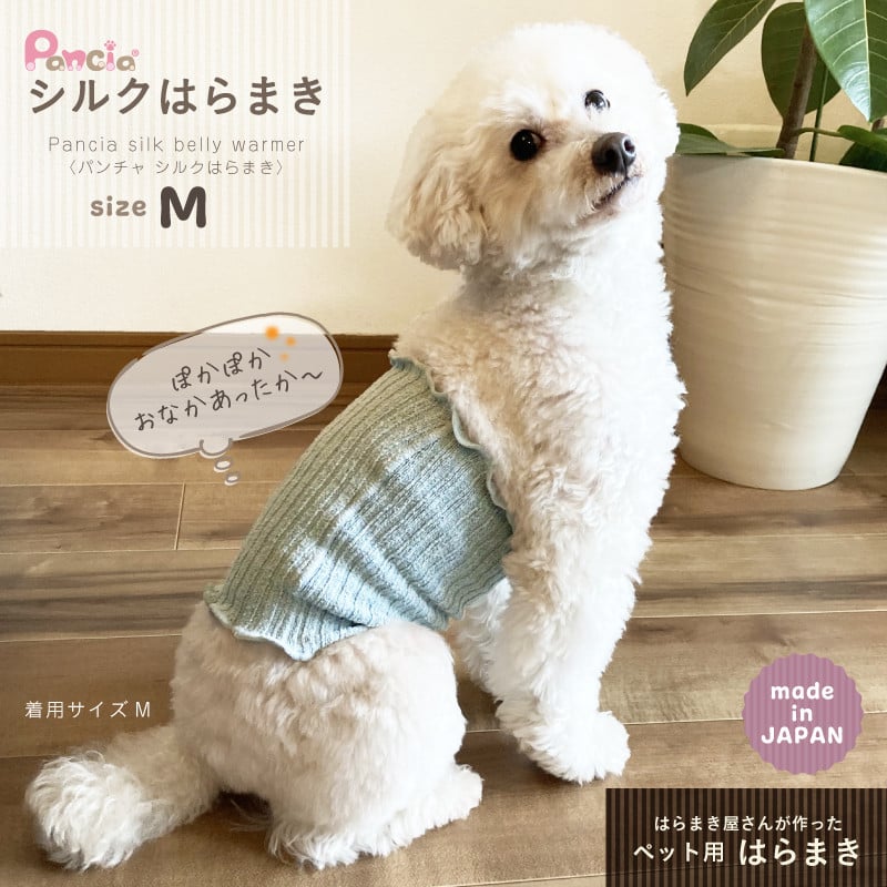 
日本製 pancia シルク 腹巻 Mサイズ 【ベージュ＋サックス】 犬用 ／ まちづくり観光振興機構 ドッグウェア ペット服 ペット腹巻 冷え防止 ドッグシャツ 奈良県 田原本町
