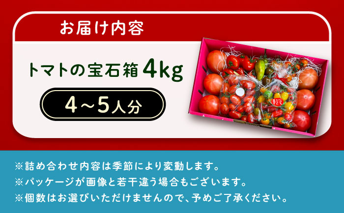 トマトの宝石箱 4kg / トマト とまと 大玉トマト ミニトマト 詰め合わせ / 恵那市 / クリエイティブファーマーズ [AUAH015]
