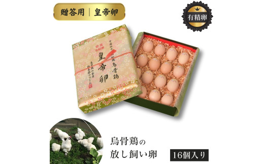 卵 16個 特選 有精卵 皇帝卵 たまご 生卵 鶏卵 贈答用 産地直送 農家直送 料理 烏骨鶏の卵 烏骨鶏の玉子 烏骨鶏 うこっけい タマゴ 玉子 ギフト 国産  放し飼い卵 平飼い卵 茨城 鉾田 舟木夢ファーム