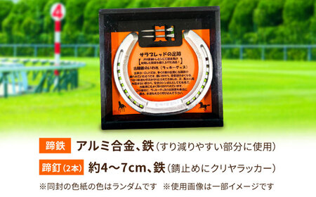 【JRA/日本中央競馬会】栗東トレーニング・センターで競走馬が使用した蹄鉄と蹄釘のセット　【サラブレットの足跡　しあわせのお守り】