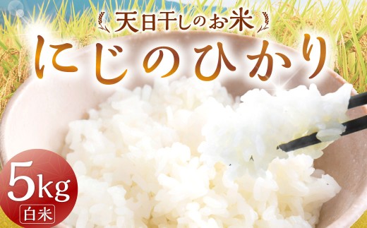 【令和7年産】天日干しのお米 (にじのひかり) 白米 5kg お米 こめ 精米 ごはん ご飯 福岡県産 福岡県 うきは市