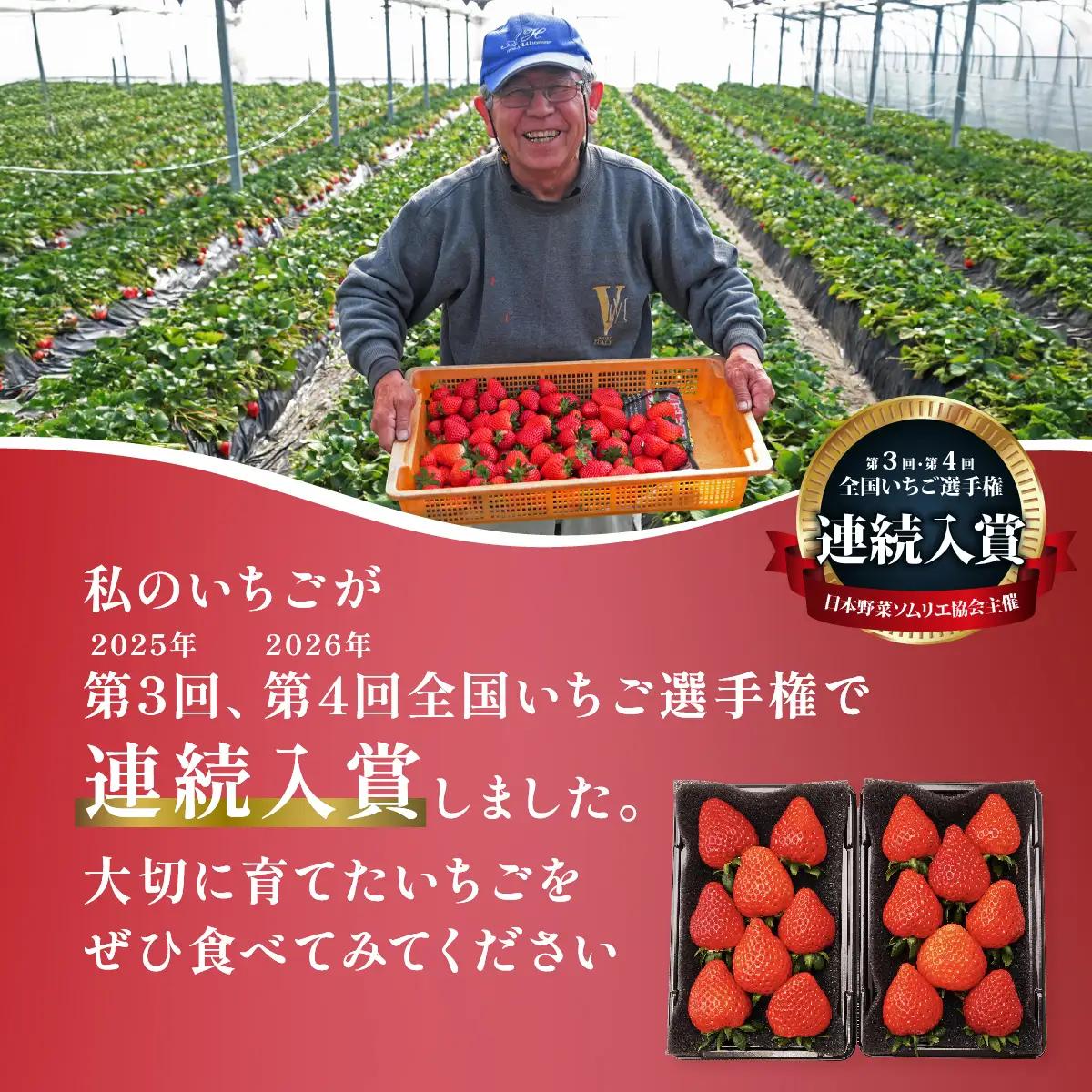 【先行予約】あまりん 260g×2 全国いちご選手権 入賞 あまりん