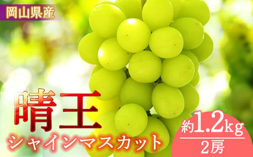 
            岡山県産　シャインマスカット「晴王」約１.２ｋｇ(１房６００ｇ以上）２房入り（WFH）
          