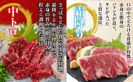 馬刺し セット 中トロ 霜降り 400g 赤身馬刺し 霜降り馬刺し 熊本馬刺し 馬刺し堪能 馬刺し専門店