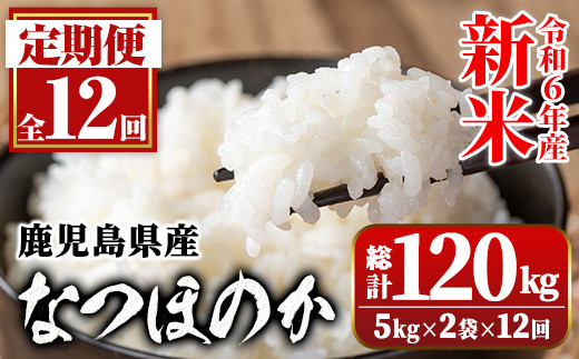 
E01008 ＜定期便・計12回(連続)＞令和6年産 新米 鹿児島県産なつほのか 白米 (5kg×2袋・計10kg)×全12回 ＜総計120kg＞ 国産 自家精米 精米 白米 ご飯 お米 コメ こめ なつほのか 常温 定期便 毎月 連続月 【新村畜産】
