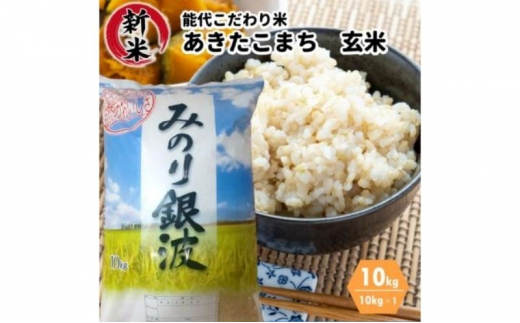 
【玄米】秋田県産 あきたこまち 10kg ごはんソムリエが選ぶ 能代こだわり米 令和5年産
