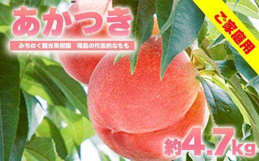 
            No.2346もも「あかつき」ご家庭用　約4.7kg【2025年発送　先行予約】
          